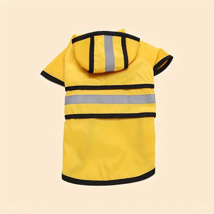 Impermeable para perros - perro paseando bajo la lluvia