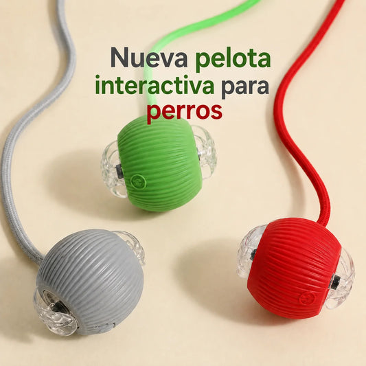 Pelota interactiva para perros, tamaño y materiales