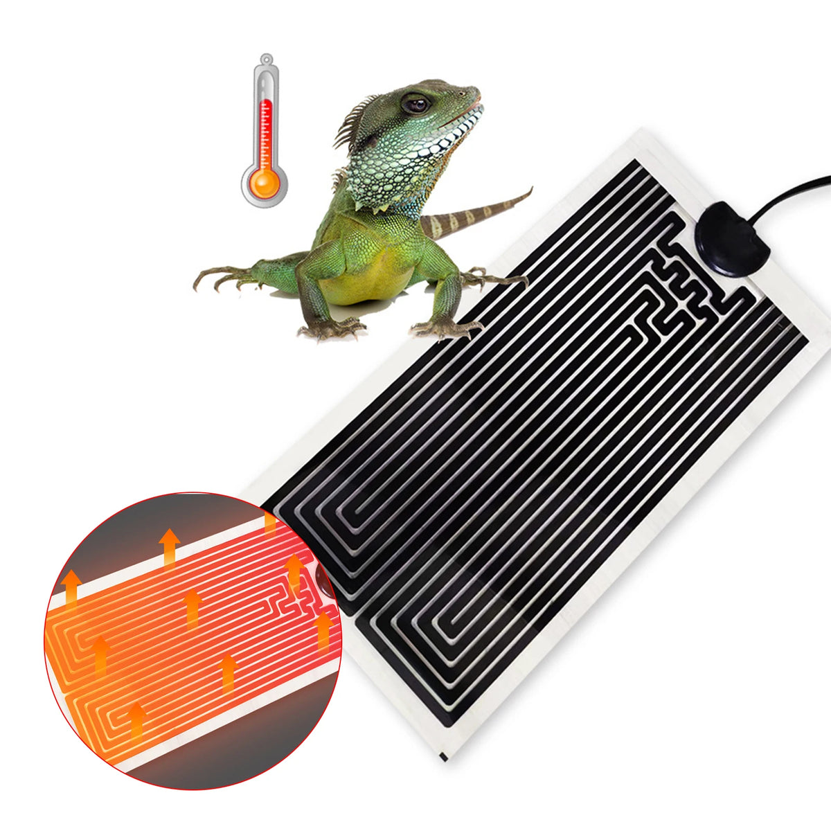 Reptil en terrario con estera térmica