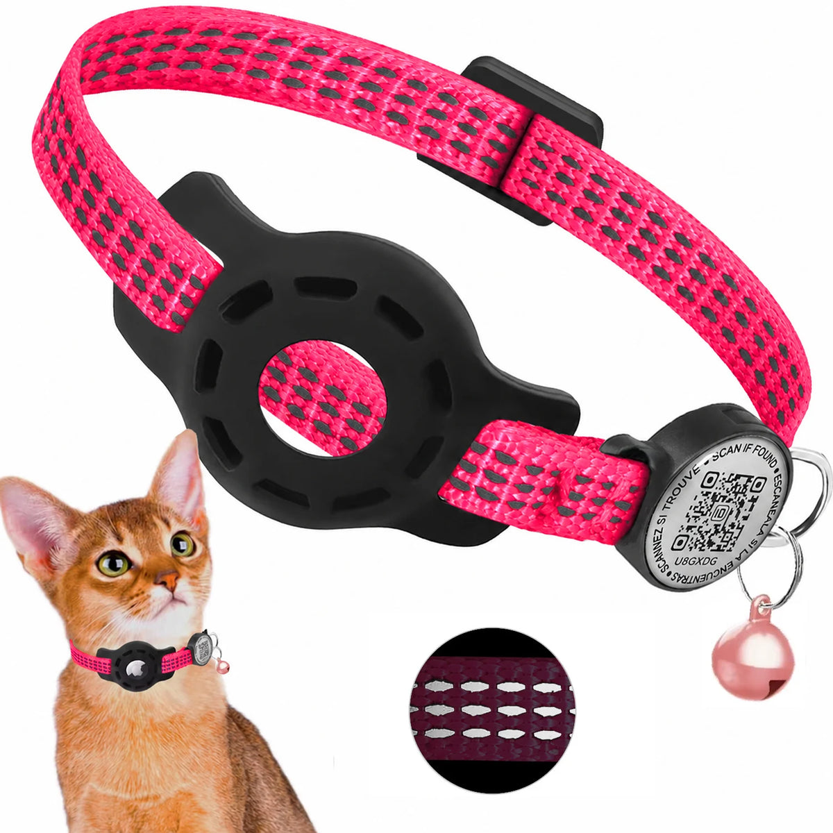 Collar para gatos - gato usando el collar